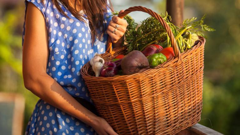 10 Fructe și Legume De Toamnă Care Intăresc Imunitatea Sănătate Wellness Unica Ro