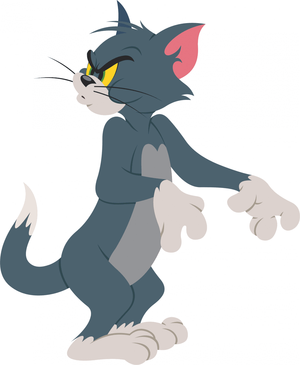 Tom si. Tom si Jerry. Младший сын Джерри