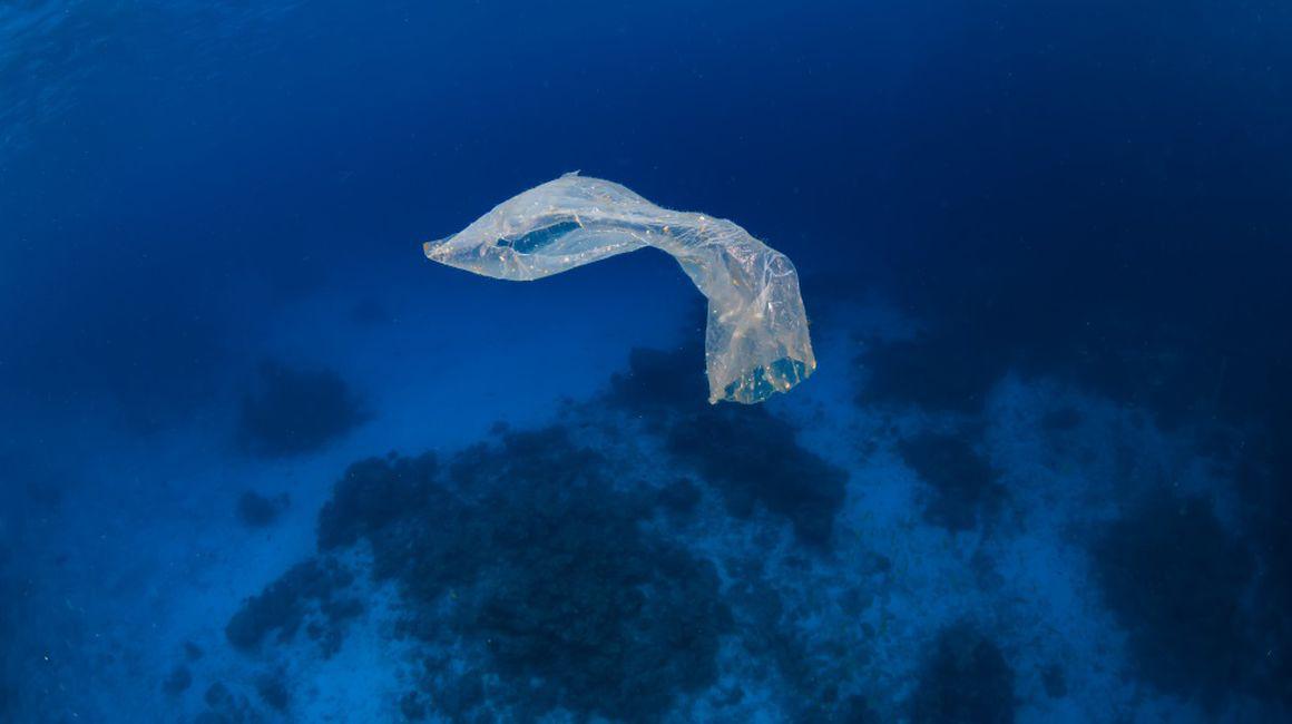 O Pungă De Plastic A Fost Descoperită In Cel Mai Adanc Loc De Pe Pămant Groapa Marianelor