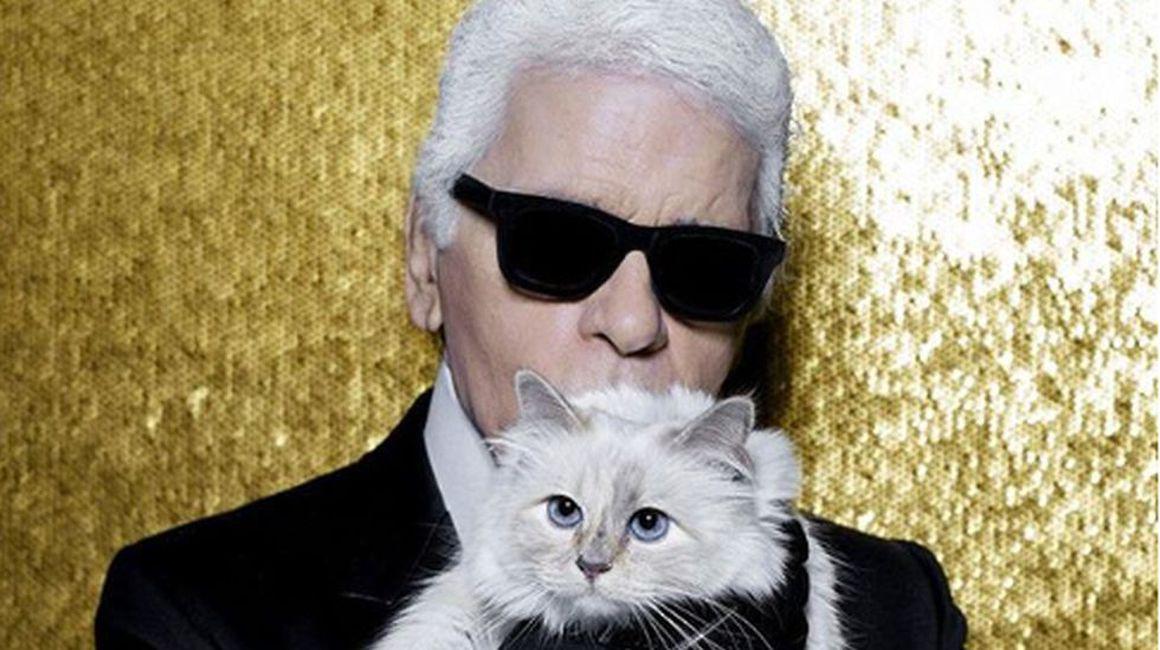 Choupette Pisica Lui Karl Lagerfeld Singura Moștenitoare A Averii Celebrului Designer