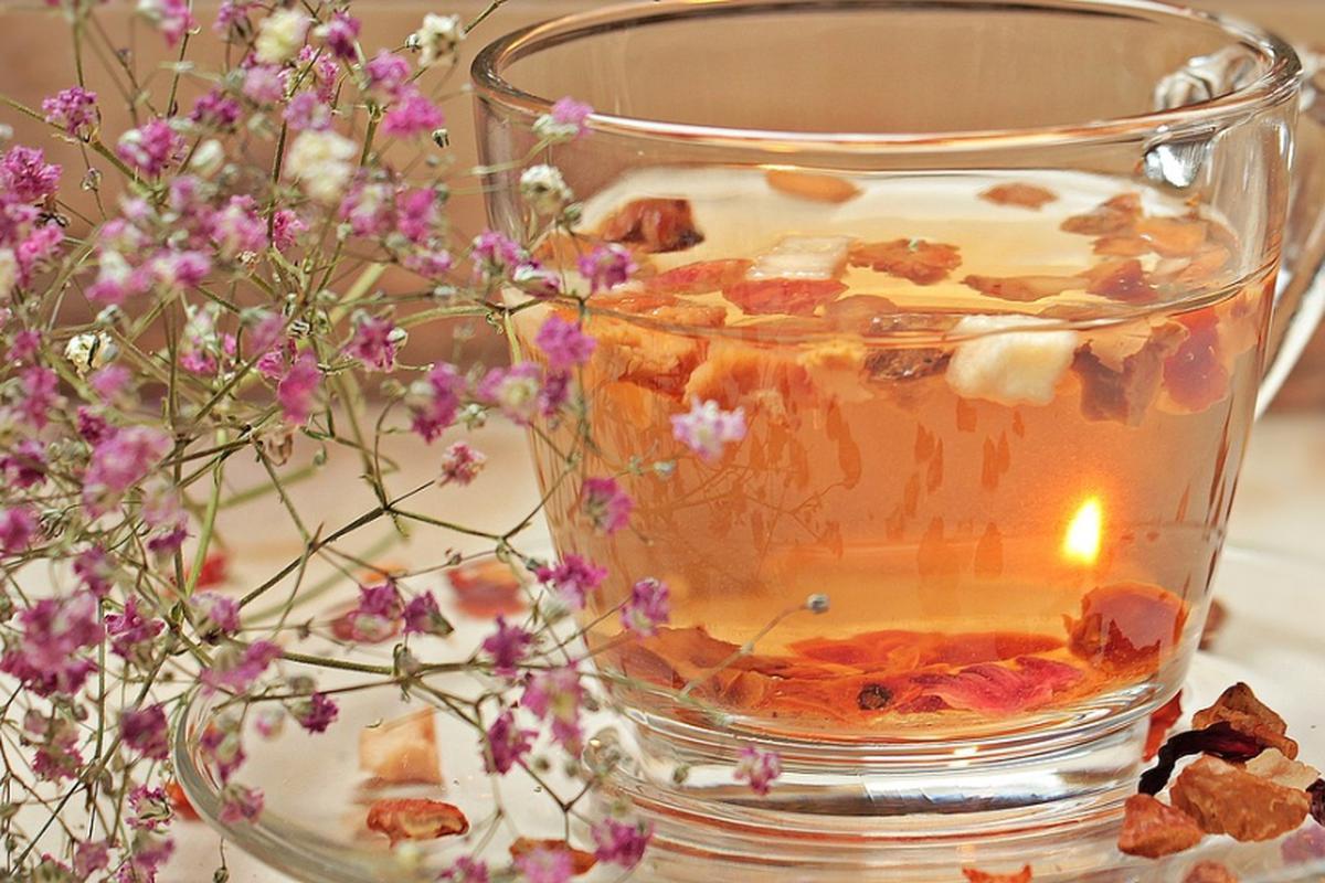 Ceai de oregano pentru slabit – Frumusețe și sănătate