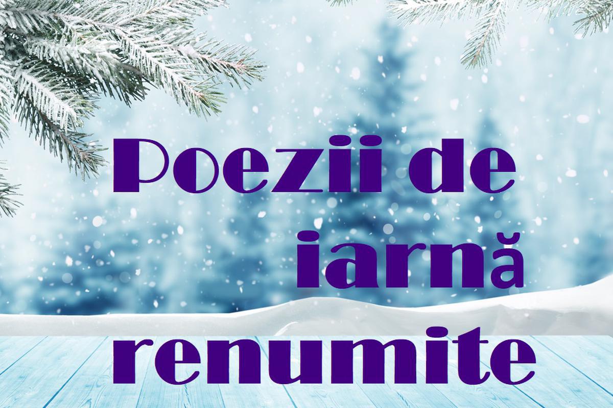 20 De Poezii De IarnÄƒ IndrÄƒgite Din CopilÄƒrie È™i Din È™coalÄƒ