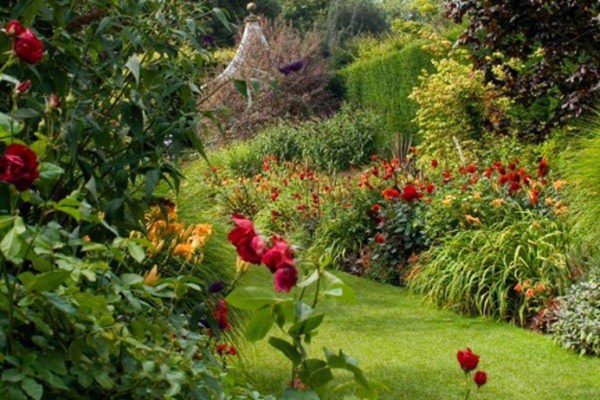 Grădina Ta Se Poartă Florile Rosii Casă Si Grădină Unica Ro