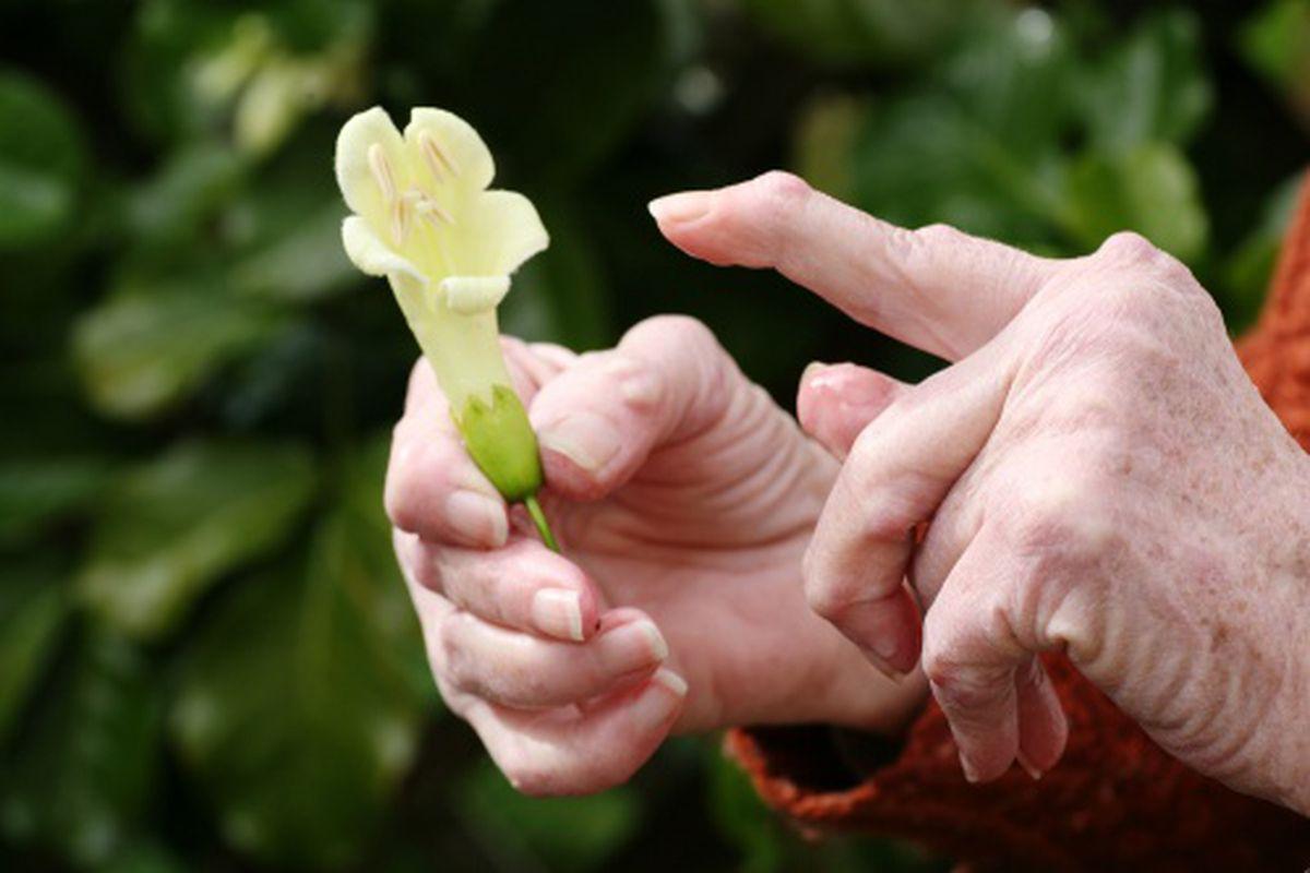 Reumatismul - ascunde peste de afectiuni! Tratamentul articular în primăvară