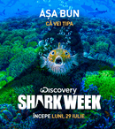 Din 29 iulie Discovery difuzează ediții noi ale emisiunii „Shark week”