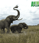 Animal Planet anunță o nouă premieră globală: „Eroi pentru animale”