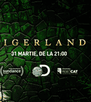 Discovery pregătește o primăvară plină de noutăți pe Discovery Channel, TLC, Travel Channel și Eurosport