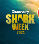 Shark Week 2024 începe la Discovery. Cel rol are John Cena și documentarele în premieră