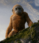 Film Now aduce în 2026 patru filme despre curaj și iubire. „Godzilla x Kong: Un nou imperiu” și „Air”, printre titluri