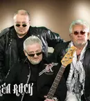 Pasărea Rock, noua trupă a lui Mircea Baniciu, Josef Kappl şi Lipan Ţăndărică