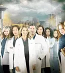 TVR va difuza sezoanele 8-12 din „Anatomia lui Grey”