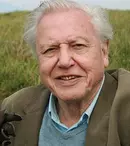 David Attenborough urmăreşte evoluţia zborului la Sky