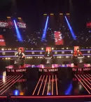 Show-ul „Vocea României”, doar la un pas de show-urile live 