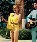 Viva Las Vegas