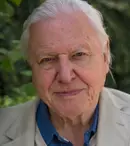 Echipa lui David Attenborough a fost jefuită de un urs polar