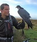 “Aventuri în Marea Britanie cu Bear Grylls” se vede la BBC Earth