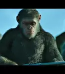 Filme la TV azi, 27 septembrie: „Planeta maimuțelor: Războiul”, „Campionul de la Auschwitz”, „Sfârșitul lumii”, „Ray”