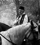 O noapte albă cu filmele lui Radu Jude, la TVR Cultural