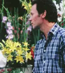 Când Harry a cunoscut-o pe Sally