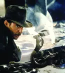 Indiana Jones, la 40 de ani de la lansare. Când ar putea fi lansat Indiana Jones 5