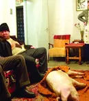 Amintiri din Epoca de Aur 1