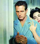 Pisica pe acoperişul fierbinte