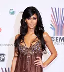 Nicole Scherzinger cheltuie o avere pe avioane private