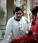 Prietenii mei elefanţii