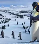 Happy Feet - Mumble, cel mai tare dansator