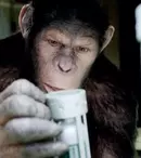 Planeta maimuţelor: Invazia