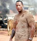 Bun venit în junglă!