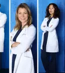 Cum se termină sezonul 9 din „Anatomia lui Grey”