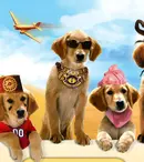 Căutătorii de comori