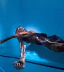 Emisiunea "Cazuri neelucidate" începe diseară la Discovery