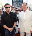 Stallone şi Schwarzenegger au primit oferte de colaborare ţicnite!