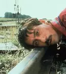 Pisica albă, pisica neagră