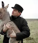 Mircea Dinescu va prezenta "Politică şi delicateţuri" la TVR