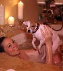 Mariah Carey cheltuieşte 47.000 de dolari pe an pe căţeii ei