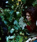 Sâmbătă, Filmul de Oscar la TVR 2: "Printre Gorile", cu Sigourney Weaver