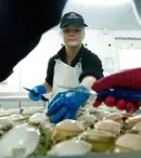 "Aurul viu al Australiei", noua emisiune Discovery, începe pe 14 iulie