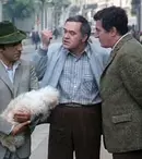 B.D. intră în acţiune