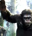 Premierele lunii iulie în cinematografe