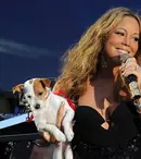 Mariah Carey a cheltuit 115.000 de lire pe vacanţa câinilor