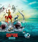 „Shark Week” / “Săptămâna rechinilor”, la Discovery, Animal Planet și Prima TV