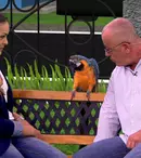 Digi Animal World va avea o emisiune producţie proprie, “Digi Animal Club”