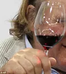 Gérard Depardieu, beat la comemorarea Primului Război Mondial 