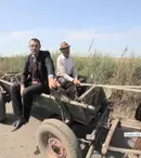 Moise Guran știe să conducă o căruță, dar și cum trebuie să conduci o economie