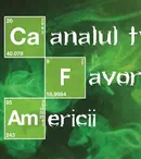 Adio MGM Channel! | Televiziunea americană AMC se lansează în România 