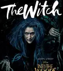 GALERIE: „În inima pădurii”