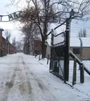 TVR transmite în direct de la Auschwitz ceremoniile de comemorare a 70 de ani de la eliberarea lagărului
